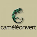 Ameublement-Cameleon-Vert