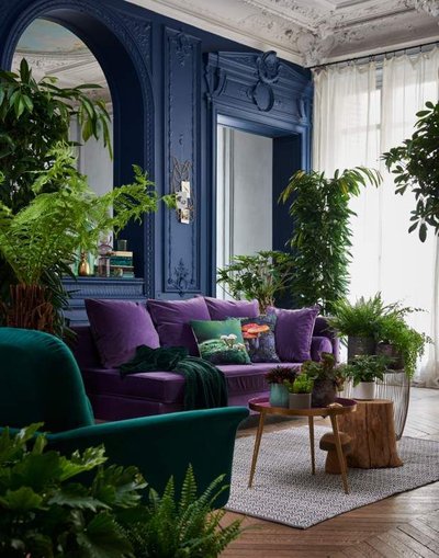 Salon élégant avec canapé violet par Femme Actuelle Pinterest Salon élégant avec canapé violet, murs bleu marine ornés de moulures, fauteuil vert émeraude et nombreuses plantes vertes créant une ambiance chic et végétale par Femme Actuelle Pinterest