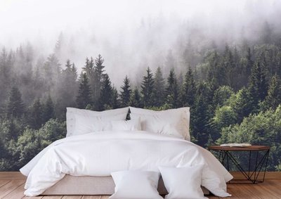 Murale de chambre représentant une forêt de conifères dense enveloppée de brume matinale, ajoutant une ambiance apaisante et immersive à une pièce décorée avec une literie blanche, des oreillers moelleux et un mobilier en bois épuré, parfaite pour créer un décor nature et relaxant de chez Mural Unique.