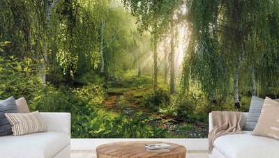 Murale panoramique représentant une forêt luxuriante baignée de lumière naturelle, avec des bouleaux blancs, des feuillages denses et un sentier recouvert de feuilles, installée dans un salon moderne avec canapé crème, coussins texturés et table basse en bois, créant une ambiance zen et immersive inspirée de la nature de chez Mural Unique