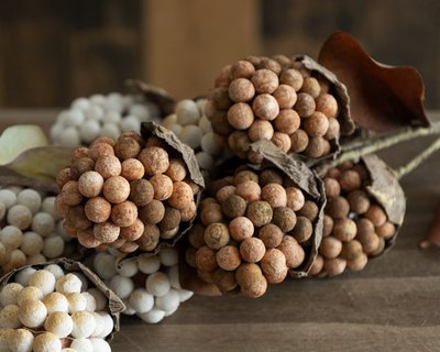 Branche décorative de baies séchées en grappes brun orangé et ivoire, avec feuilles brunes texturées, posée sur une surface en bois rustique par Décors Véronneau