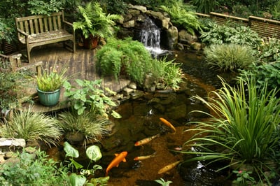 eau-point-eau-bassin-zen-outdooring-amenager-meubler-decorer-cour-arriere-jardin-pieces-exterieures-espace-exterieur-meubles-exterieurs-decorer-idees-solutions-trucs_conseils_comment_decoration_design_interieur_ameublement_quebec_canada