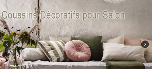 Coussins Décoratifs pour Salon