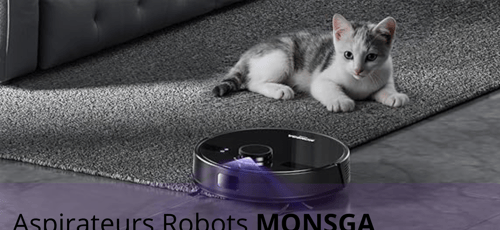 Robot Aspirateur MONSGA