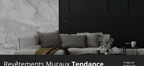 Revêtements Muraux Tendance Revêtements Muraux Tendance