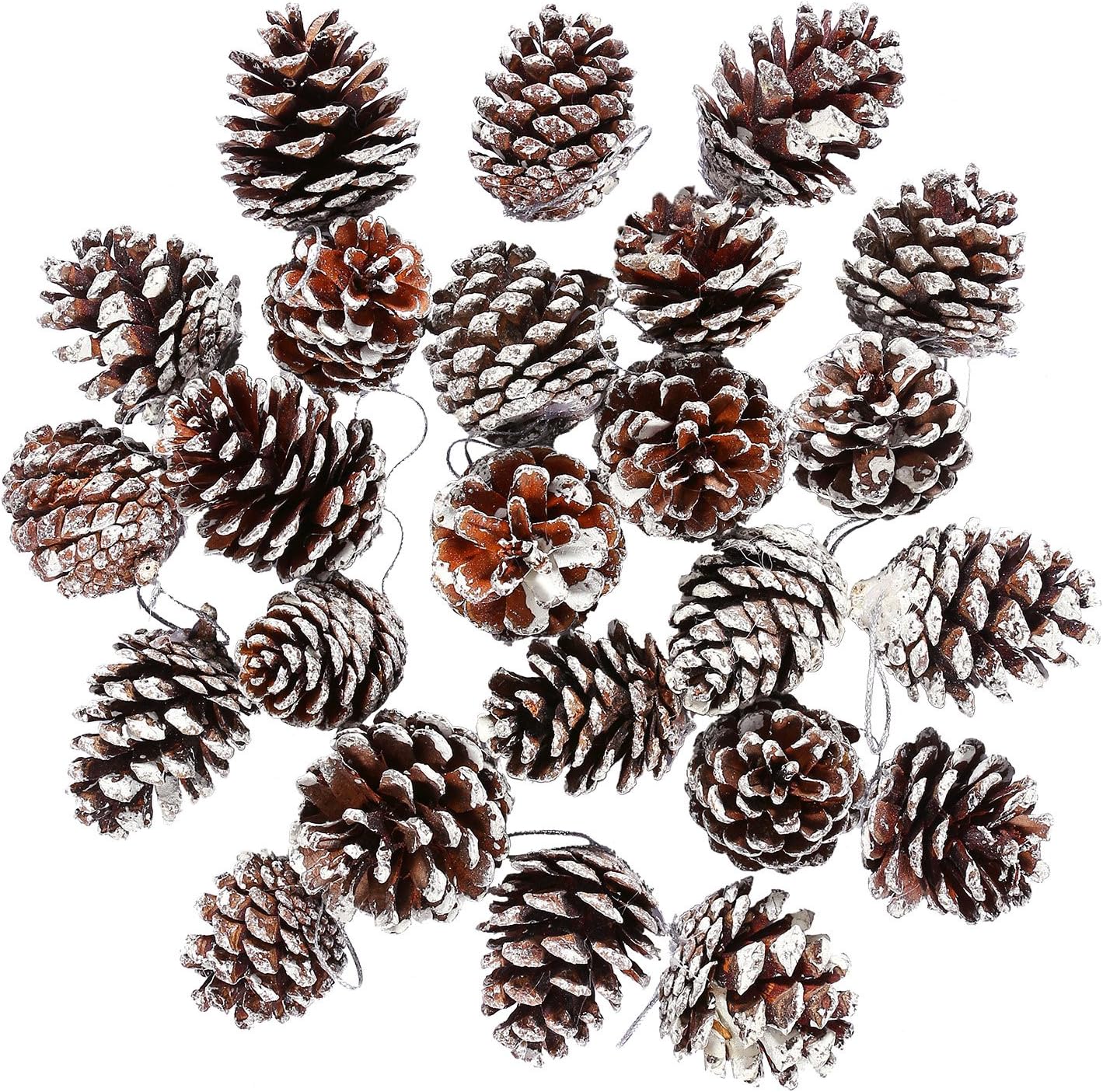 16 Pommes De Pin Naturelles Séchées - Déco Noël Rustique - Mini Pommes De Pin Pour Couronnes, Guirlandes, Tables - Environ 3,5 X 5 Cm