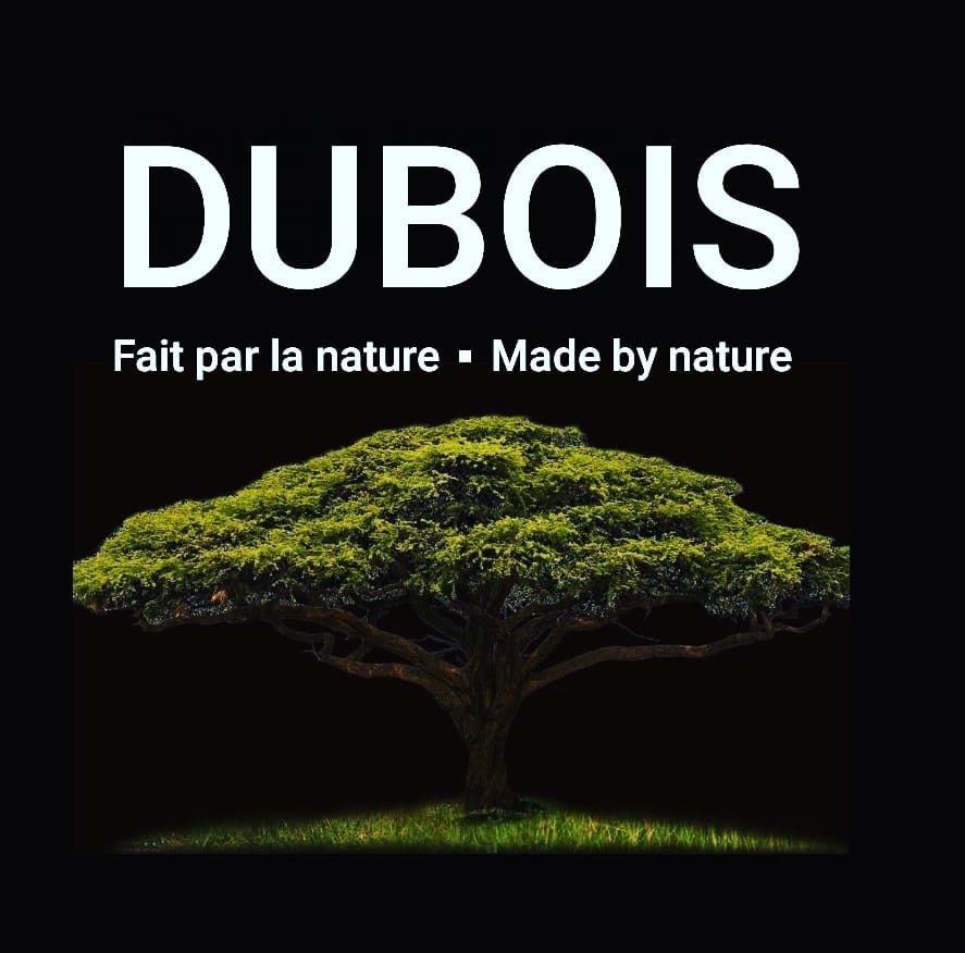 Logo DUBOIS Meubles