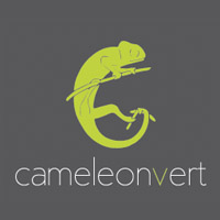 Caméléon Vert